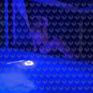 Имя: Лура, Возраст: 27, Грудь: 3