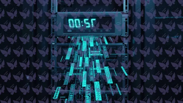 Политика хранения данных в эскорте: почему мы удаляем историю заказов